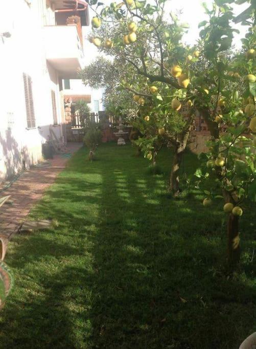 Su Suergiu Villa San Giovanni Suergiu Bagian luar foto